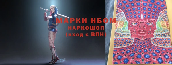 стаф Киренск