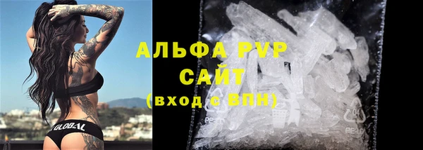 стаф Киренск