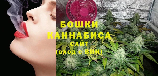 стаф Киренск