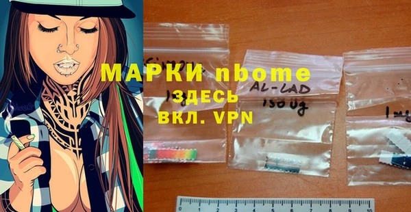 стаф Киренск