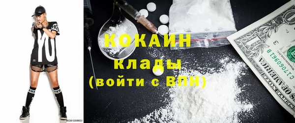 стаф Киренск